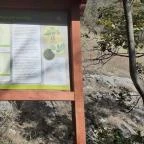 Csodabogyó tanösvény Siklós - Külső kép