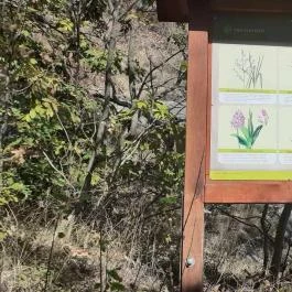 Csodabogyó tanösvény Siklós - Külső kép