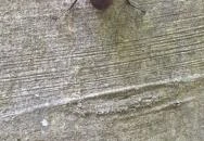 Mókus tanösvény Pécs Mókus tanösvény Pécs