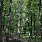 Mókus tanösvény Pécs - Egyéb