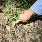 Mókus tanösvény Pécs - Egyéb