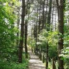 Mókus tanösvény Pécs - Egyéb