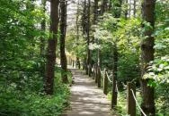 Mókus tanösvény Pécs Mókus tanösvény Pécs