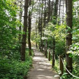 Mókus tanösvény Pécs - Egyéb