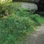 Vízfő tanösvény Orf? - Külső kép