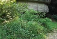 Vízfő tanösvény Orfű Vízfő tanösvény Orfű