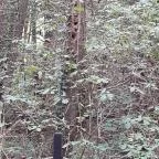 Vízfő tanösvény Orf? - Külső kép