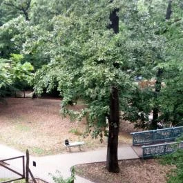 Bambara Hotel, Felsőtárkány - Egyéb