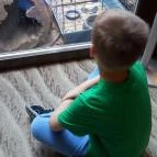 Bambara Hotel Felsőtárkány - Egyéb