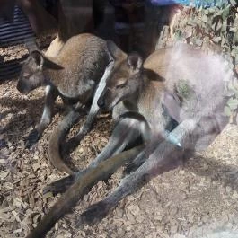 Bambara Hotel, Felsőtárkány - Egyéb