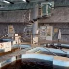 Barátság Gyógy és Wellness Szálloda Hajdúszoboszló - Wellness