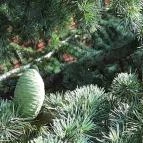 Hotel Azúr Siófok - Környék