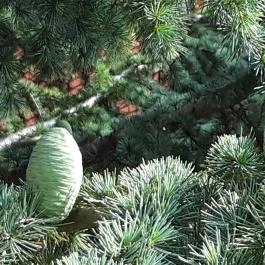 Hotel Azúr, Siófok - Környék