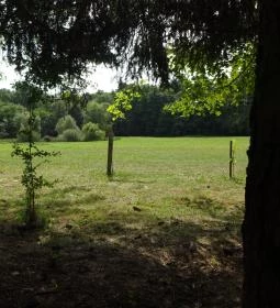 Őrségi Patakparti Alpaka Panzió