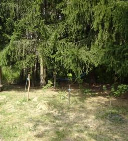 Őrségi Patakparti Alpaka Panzió