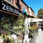 Hotel Zenubia Hajdúszoboszló - Medence/kert