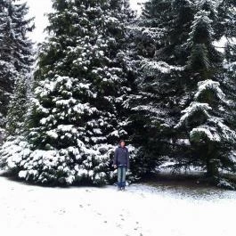 Hotel Lövér Sopron - Környék