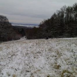 Hotel Lövér Sopron - Környék