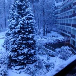 Hotel Lövér Sopron - Medence/kert