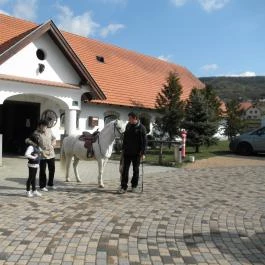 Hotel Kapitány Superior Wellness Sümeg - Környék