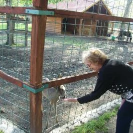 Vadkert Major Sárvár - Környék