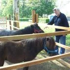 Vadkert Major Sárvár - Környék