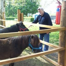 Vadkert Major Sárvár - Környék