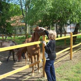 Vadkert Major Sárvár - Környék