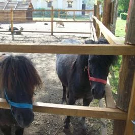 Vadkert Major Sárvár - Környék