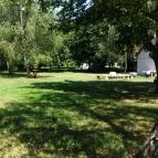 Göcsej Völgye Kemping Kustánszeg - Medence/kert