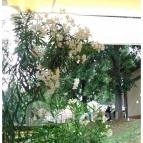 Géza Konyhája Gyula - Külső kép