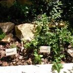 Géza Konyhája Gyula - Külső kép