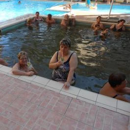 Hotel Gara Gyógy- és Wellness Szálloda Füzesgyarmat - Medence/kert