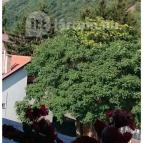 Hotel Visegrád Visegrád - Környék