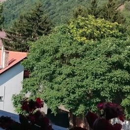 Hotel Visegrád, Visegrád - Környék