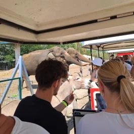 Richter Safari Park Nagykőrös - Egyéb