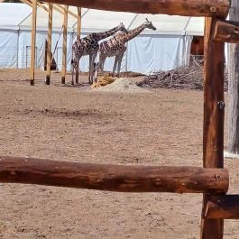 Richter Safari Park Nagykőrös - Egyéb