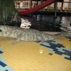 Hungarospa Thermal Hotel Hajdúszoboszló - Wellness