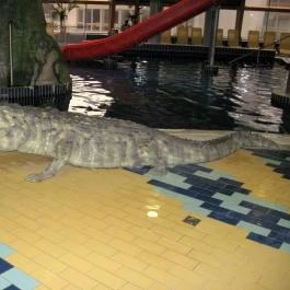 Hungarospa Thermal Hotel Hajdúszoboszló - Wellness