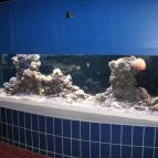 Hungarospa Thermal Hotel Hajdúszoboszló - Wellness