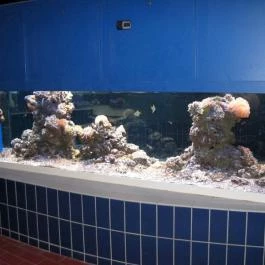 Hungarospa Thermal Hotel Hajdúszoboszló - Wellness