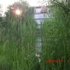 Bonita Apartman Hotel Cserkeszőlő - Környék