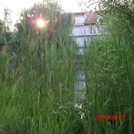 Bonita Apartman Hotel Cserkeszőlő - Környék