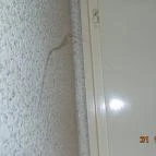 Duna Wellness Hotel Baja - Egyéb