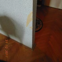 Duna Wellness Hotel Baja - Egyéb