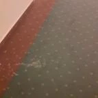 Duna Wellness Hotel Baja - Egyéb