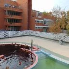 Silver Hotel Hajdúszoboszló - Medence/kert