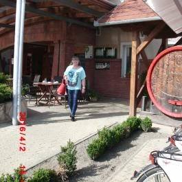 Pincelakat Borház & Szálloda Császártöltés - Külső kép