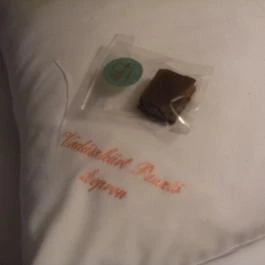 Vadászkürt Panzió Sopron - Egyéb