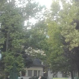 Hotel Arborétum Harkány - Környék